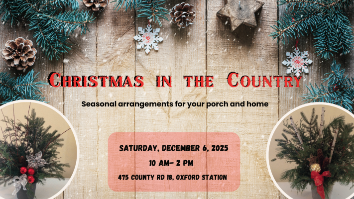 Copy of Everything Under the Evergreen Web Update (5).png